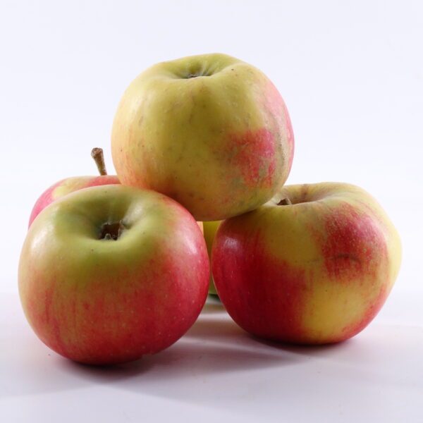 Pommes de saison cultivées par De la Fleur au Fruit