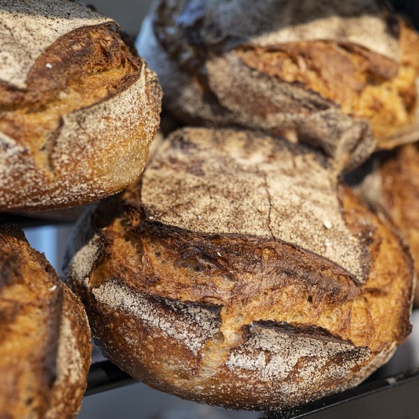 Miches de pain au levain de L'Amicale des Boulangers
