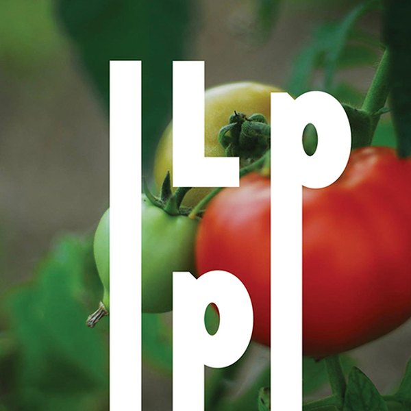 Logo des Petits Producteurs sur fond de tomates